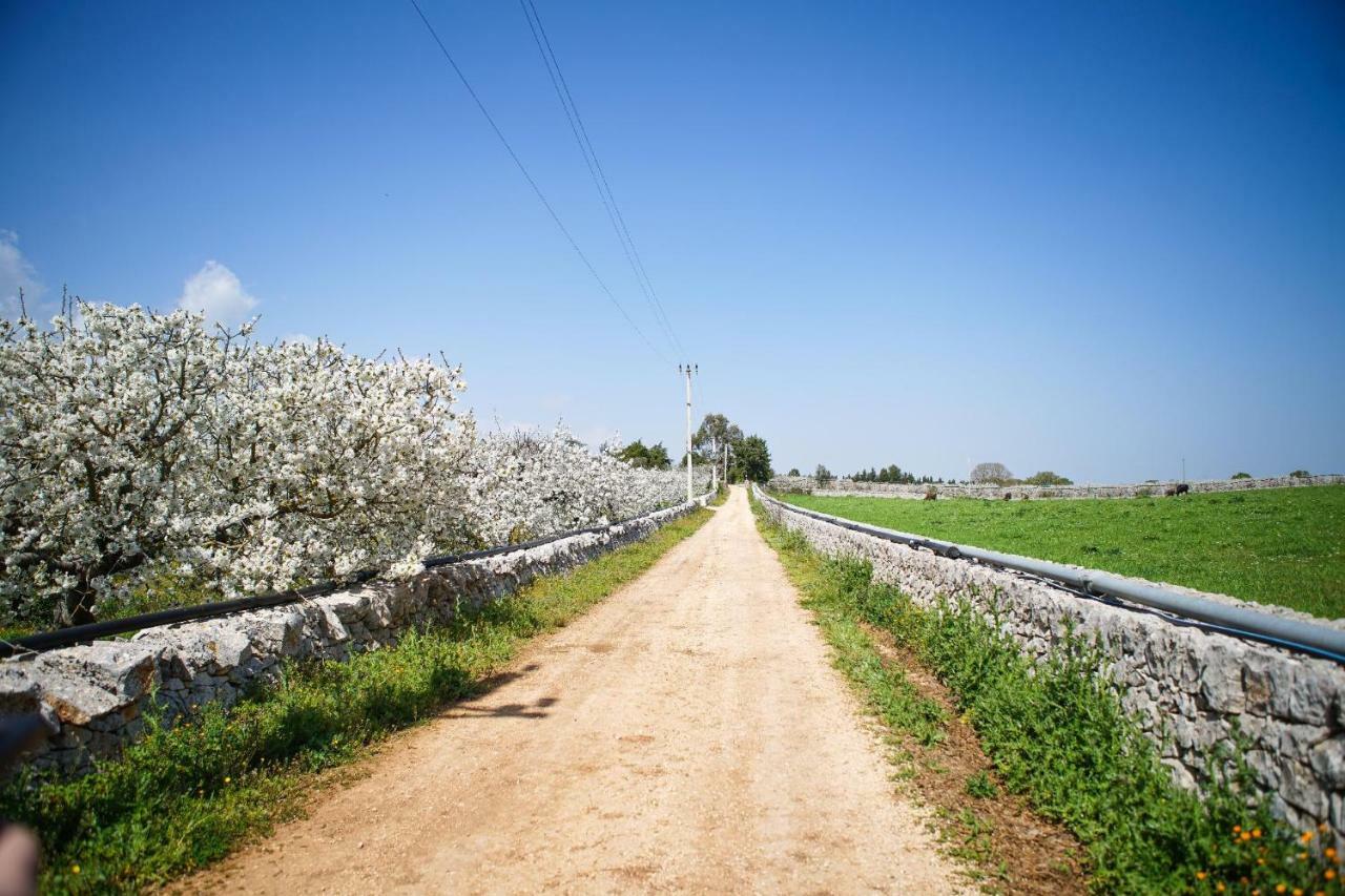 Masseria Guadiano Vecchio Santa Lucia  Exterior photo