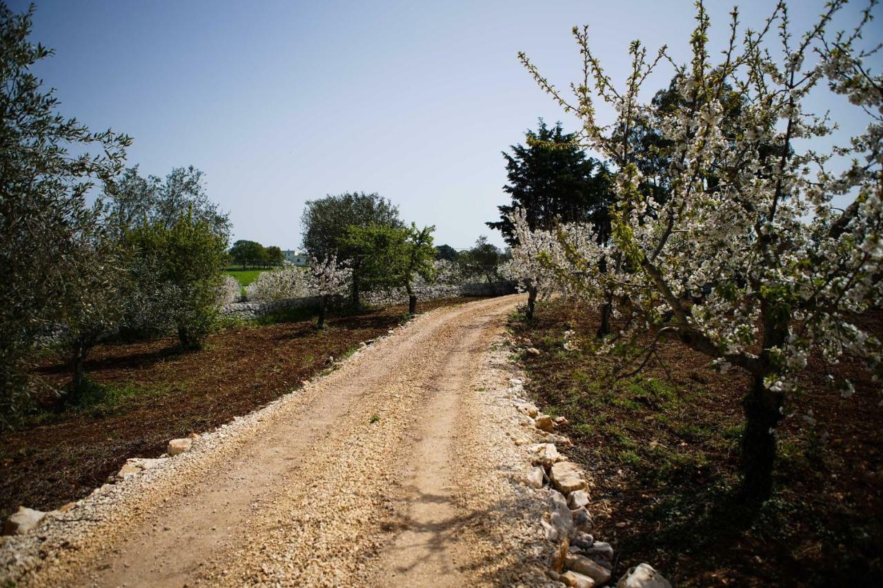 Masseria Guadiano Vecchio Santa Lucia  Exterior photo